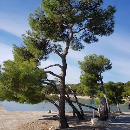 Dom wakacyjny Sweethome *